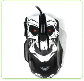 mouse