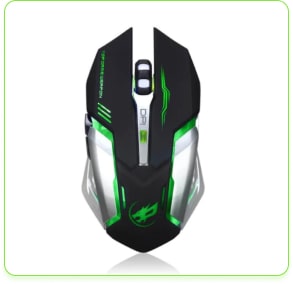mouse