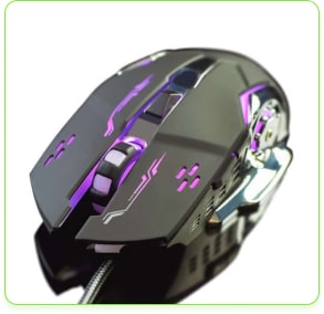 mouse