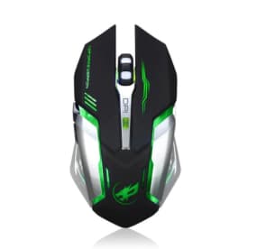 mouse